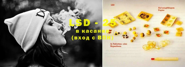 сатива Костерёво